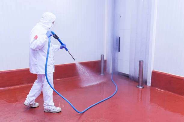 Best Spring Cleaning  in Bloomfield, NY