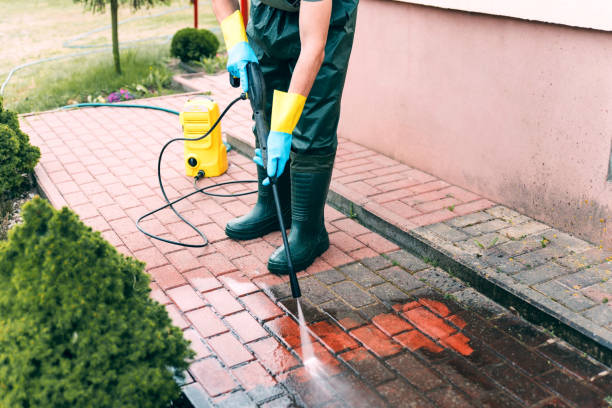 Best Animal Enclosure Cleaning  in Bloomfield, NY